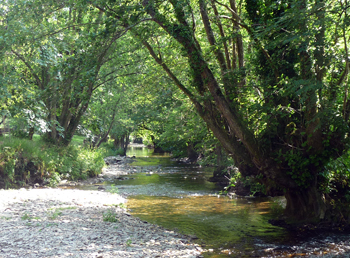 river bank