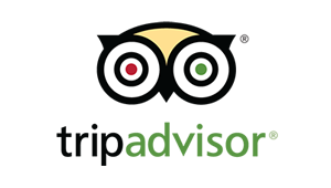 trip advisor reviews